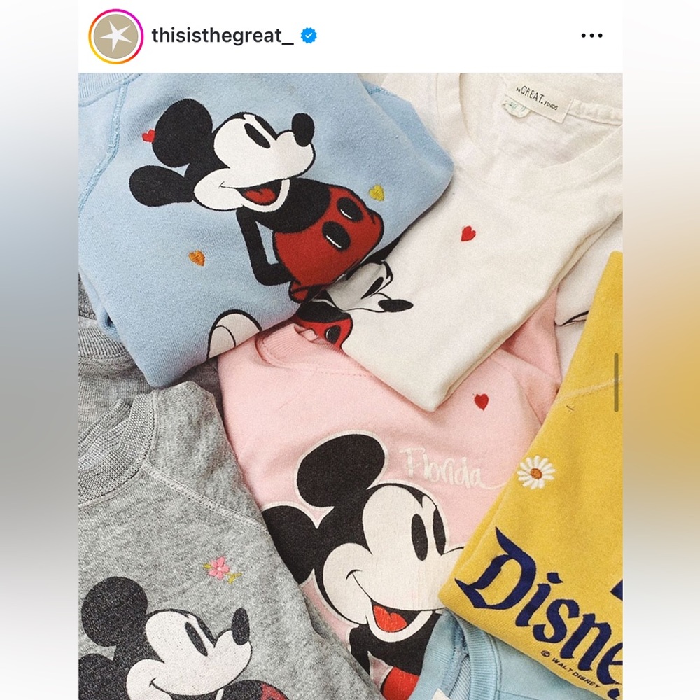 **ISO DO NOT BUY** The Great. Vintage Disney embroidered sweatshirt